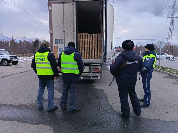 В Бурятии не пропустили 83 коровы без ветеринарных документов