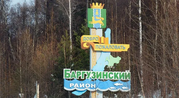 На трассе в Баргузинском районе упали два дерева